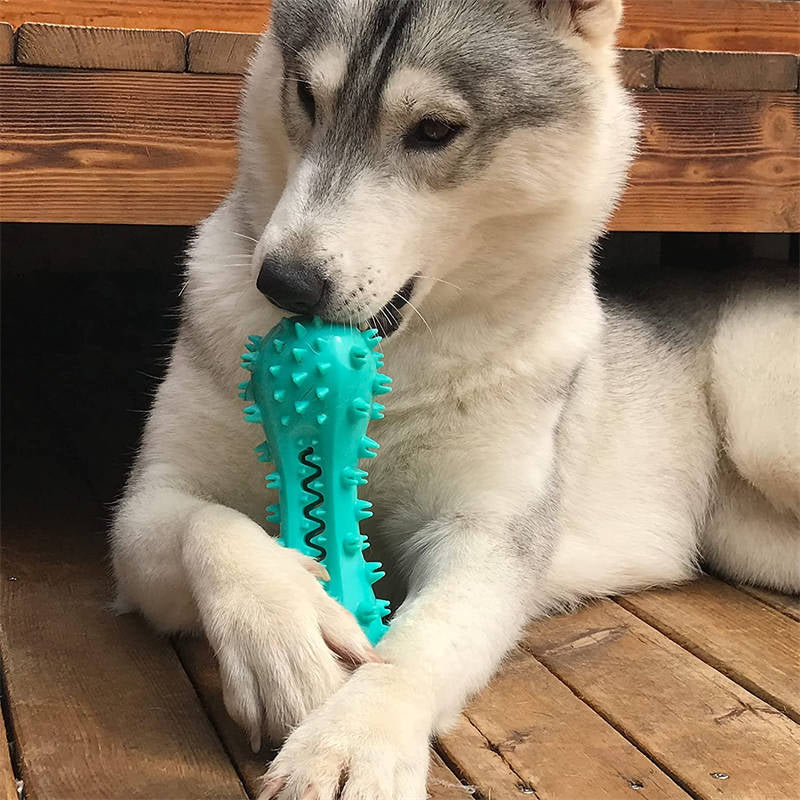 Durable Rubber Molar Stick Chew Toy – Teeth-Cleaning Interactive Dog Toy for Aggressive Chewers (Small/Medium & Large Dogs)